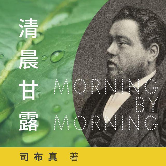 12月08日 - 清晨甘露