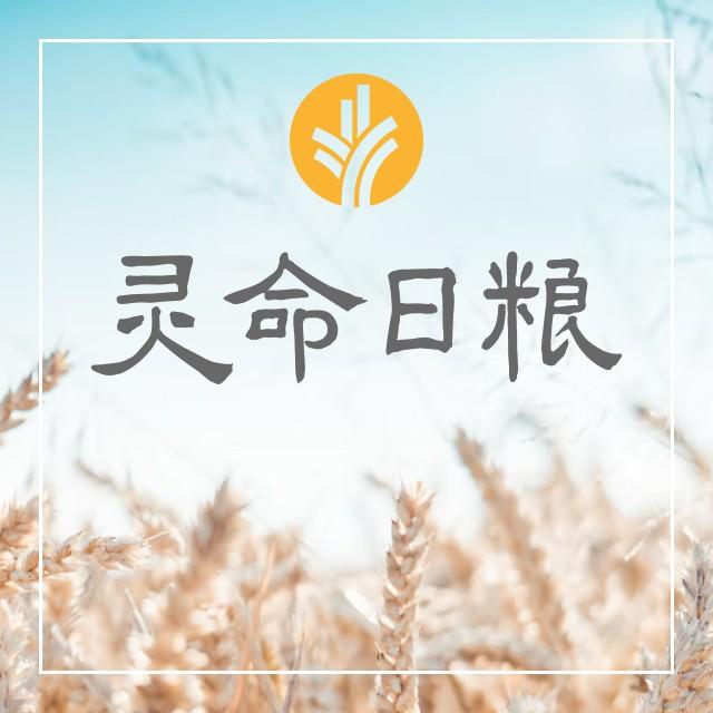 3月31日 上帝的视角 - 灵命日粮