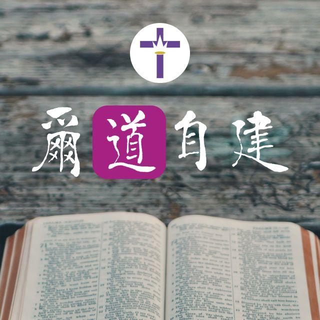 3月23日 捆绑与惧怕 - 尔道自建